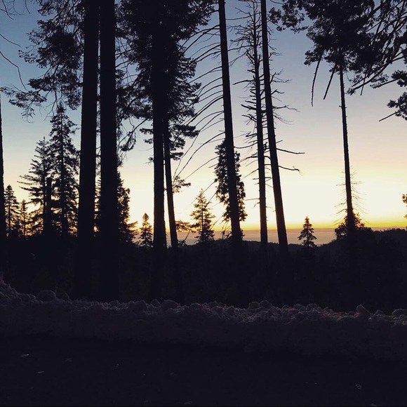 Meet your posher! - Picture 2 of 4